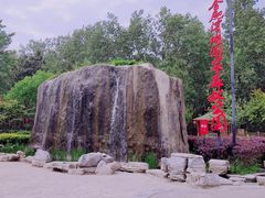 -合肥滨湖国家森林公园