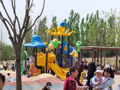 -东郊湿地公园