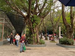 -深圳野生动物园