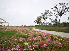 -歌斐颂巧克力小镇