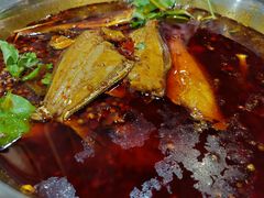 -川东长筷子耗儿鱼(万象润街店)