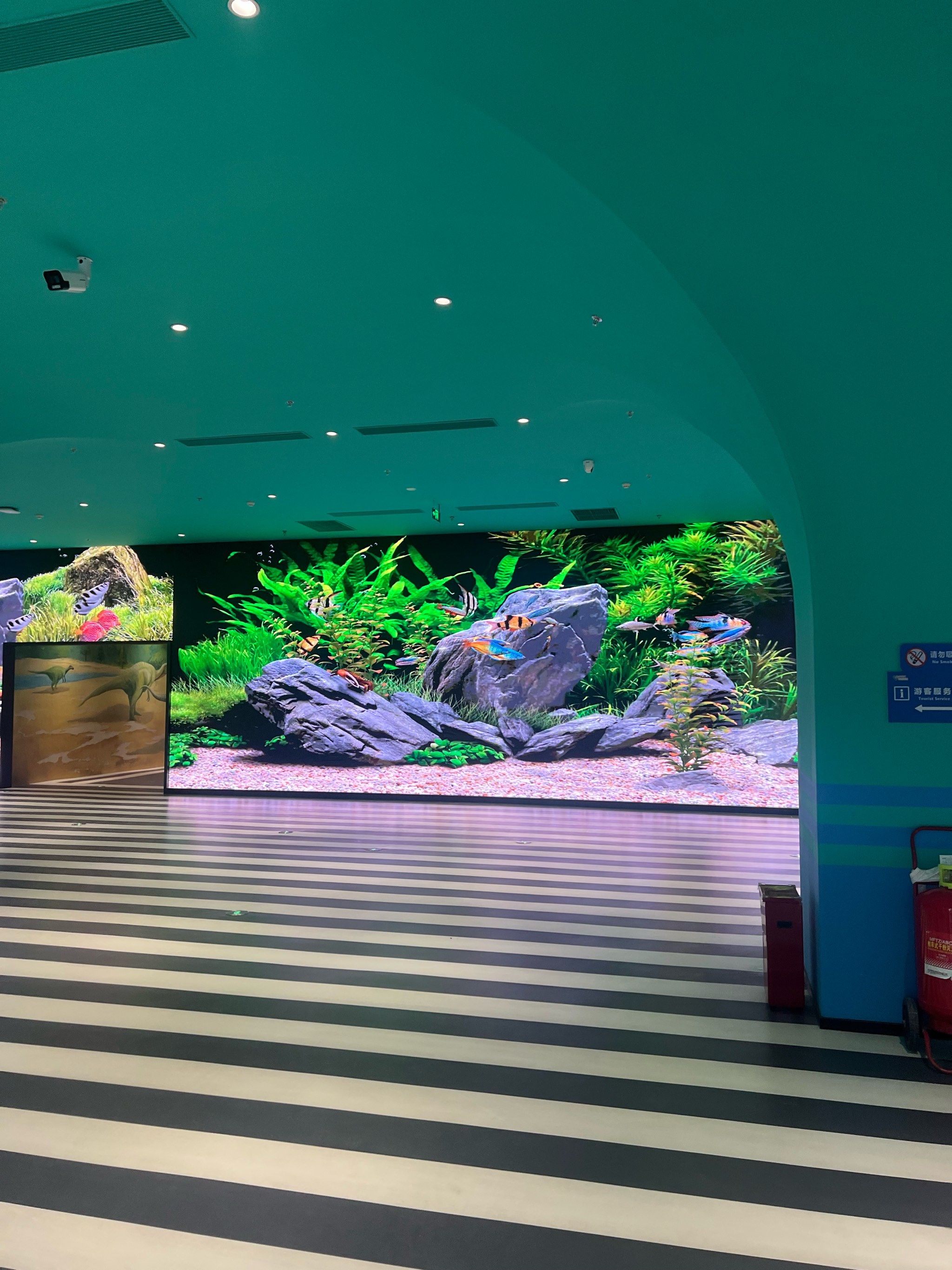 环境很好的,设施很干净