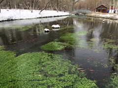 -水磨沟公园