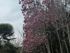 -昆山城市公园