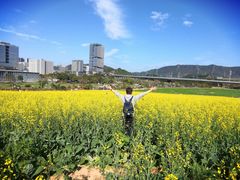 -光明小镇欢乐田园