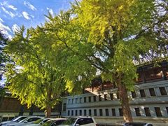 -国家图书馆·古籍馆