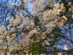 -灞河西岸滨河公园