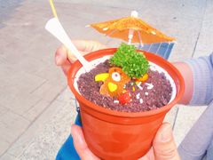 -龙虎塔