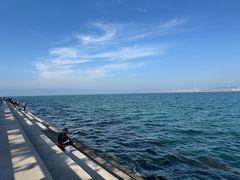 -悦海公园