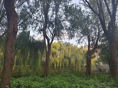 -西安汉城湖景区