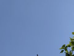 -东部华侨城