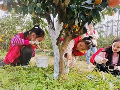 -前小桔亲子创意农场·草莓采摘·露营烧烤