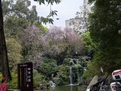 -柳侯公园