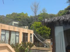 -溪山云境森林音乐餐厅(湖景店)