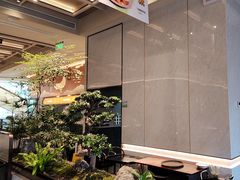 -谭厨中山传家菜.乳鸽.脆鲩鱼(华强北中航城店)