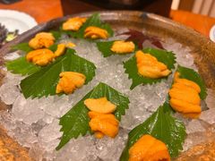 -月龍吟(朝龙汇店)