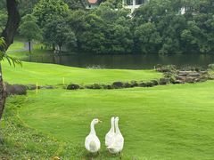 -麓湖高尔夫球俱乐部