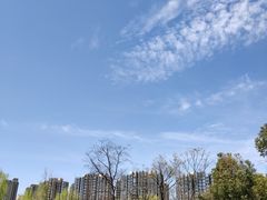 -南翔镇银翔湖公园