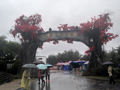 -天适樱花悠乐园