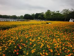 -海珠湖公园