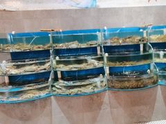 -蓝珊海鲜澳洲和牛自助餐厅