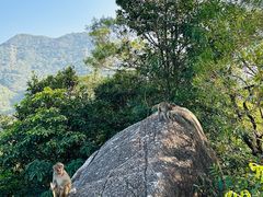 -狮子山郊野公园