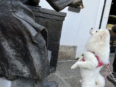 -瑞鹏宠物医院犬猫全科(真大分院)