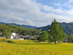 -塔川景区