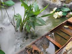 -伴山茶苑·一盏冰茶·半日山居