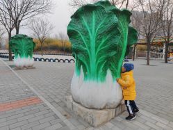 -大望京儿童游乐场