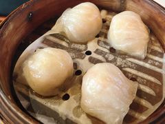 -憶廟街 X 沙角邨(太古城店)