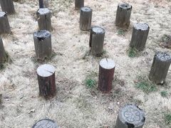 -香雪海