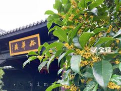 -上海皇廷花园酒店·御宴中餐厅