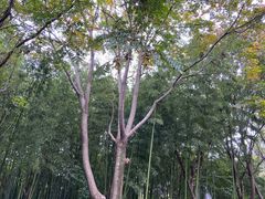 -苏州河梦清园环保主题公园