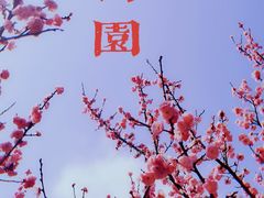 -无锡梅园公园