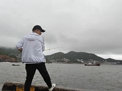 -枸杞岛