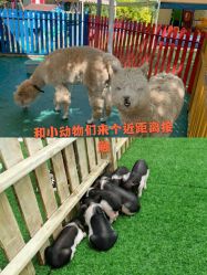 -萌宠亲子动物乐园(槐房万达店)