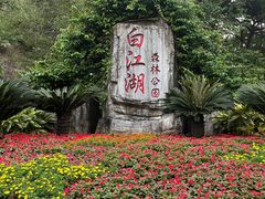 -广州白江湖森林公园