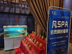 -梵SPA·影院足道·采耳(西藏北路店)