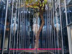 -光明食品集团有限公司