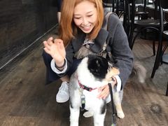 -四喜小胖·北京涮肉(五道营店)
