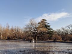 -国家植物园南园