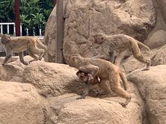 -西安秦岭野生动物园