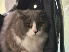 -皮特动物医院(24小时店)