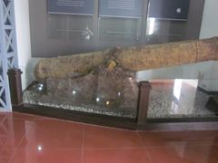 -海军上海博览馆