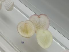 -贝壳王国博物馆