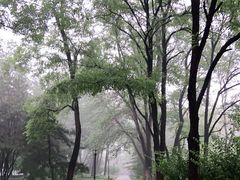 -玲珑塔公园