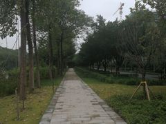 -大渡口区义渡公园