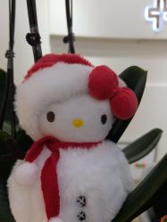 -JUVA欧华医美连锁