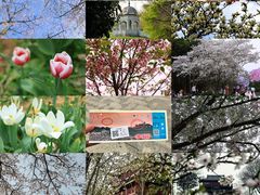 -凤凰沟景区